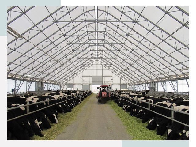 Тентовые коровники в Шатуре от 615 руб. - Надежно и доступно